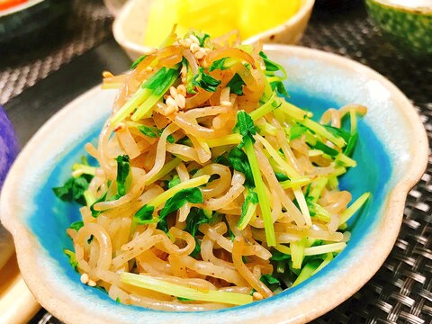 糖質制限☆しらたきと豆苗の生姜醤油蒸し